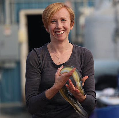 AT EASE WITH EEL: AMERICAN UNAGI PUSHES ITS FISH ONTO MORE TABLES