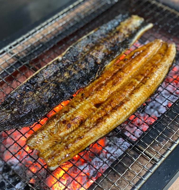 Unagi Kabayaki