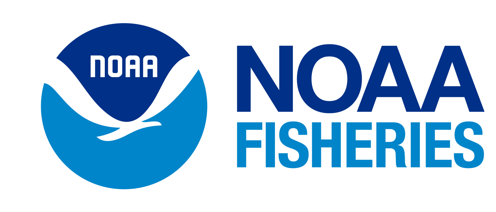 noaa, eels, american unagi