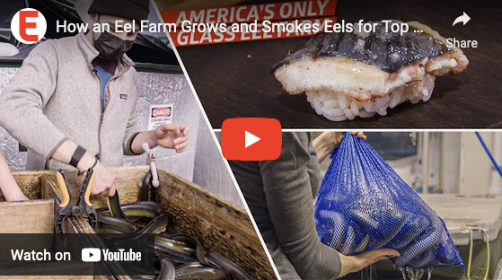 Dan Does Visits American Unagi: How an Eel Farm Grows and Smokes Eels for Top Sushi Restaurants